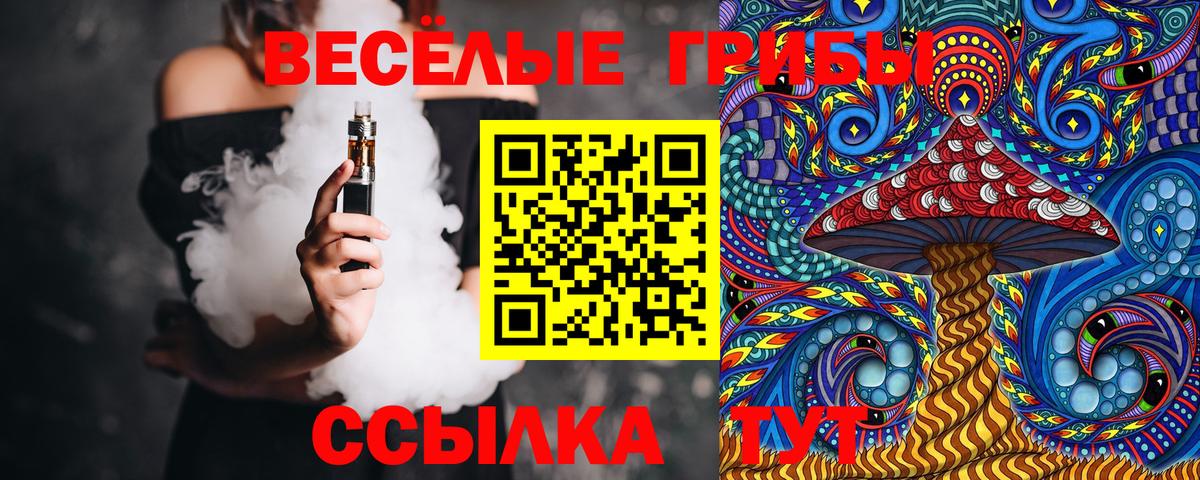 Галлюциногенные грибы Psilocybe Берёзовский
