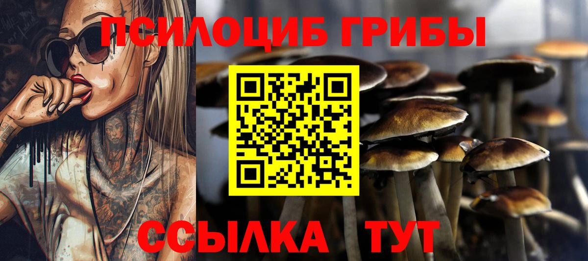 Галлюциногенные грибы MAGIC MUSHROOMS  Вход с VPN  Берёзовский 